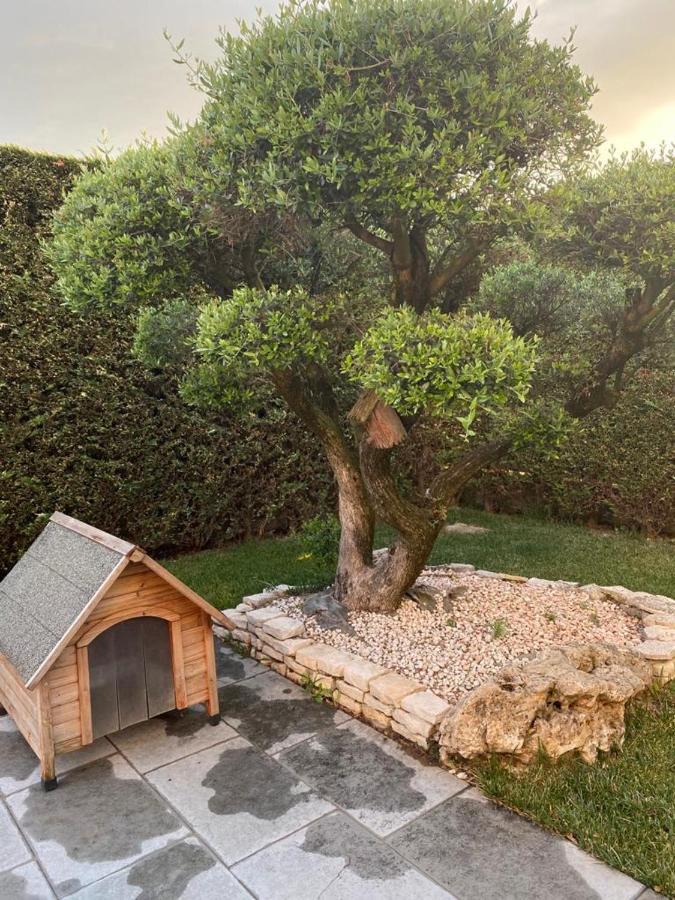 Wooden House Acomodação com café da manhã Montegrotto Terme Exterior foto